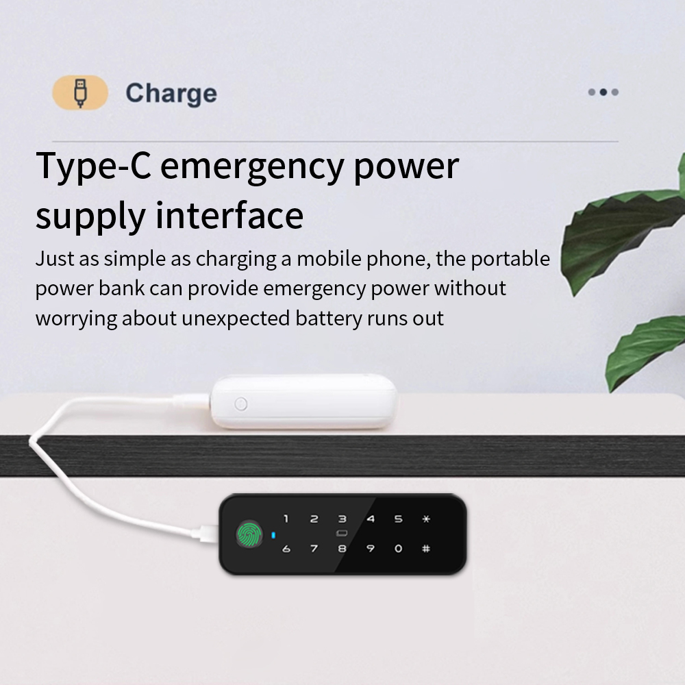 Tuya Bluetooth умный деревянны – обзор и цена Home Security Door Lock