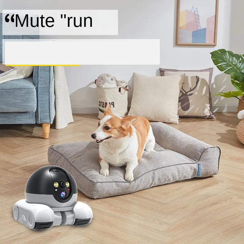 4-мегапиксельная IP-камера 5G  – обзор и цена Home Security Robot