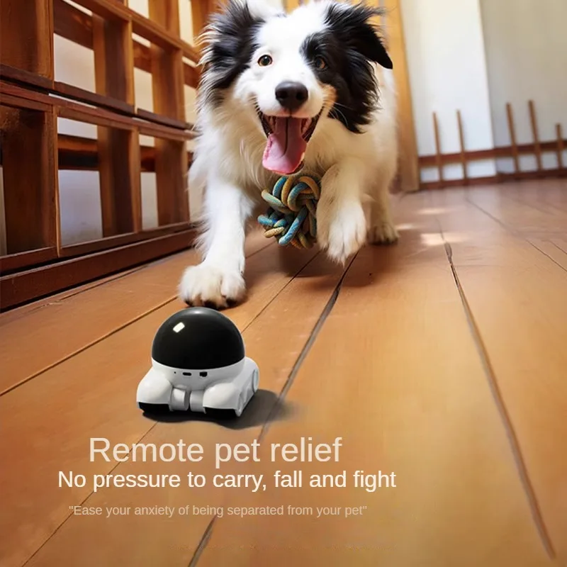 4-мегапиксельная IP-камера 5G  – обзор и цена Home Security Robot