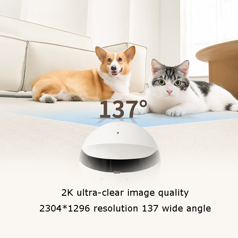 Робот-компаньон для домашних ж – обзор и цена Home Security Robot